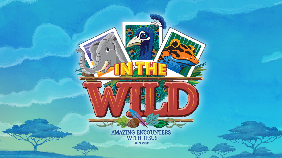 into the wilderness vbs